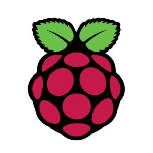 Read more about the article Introduction to Raspberry pi