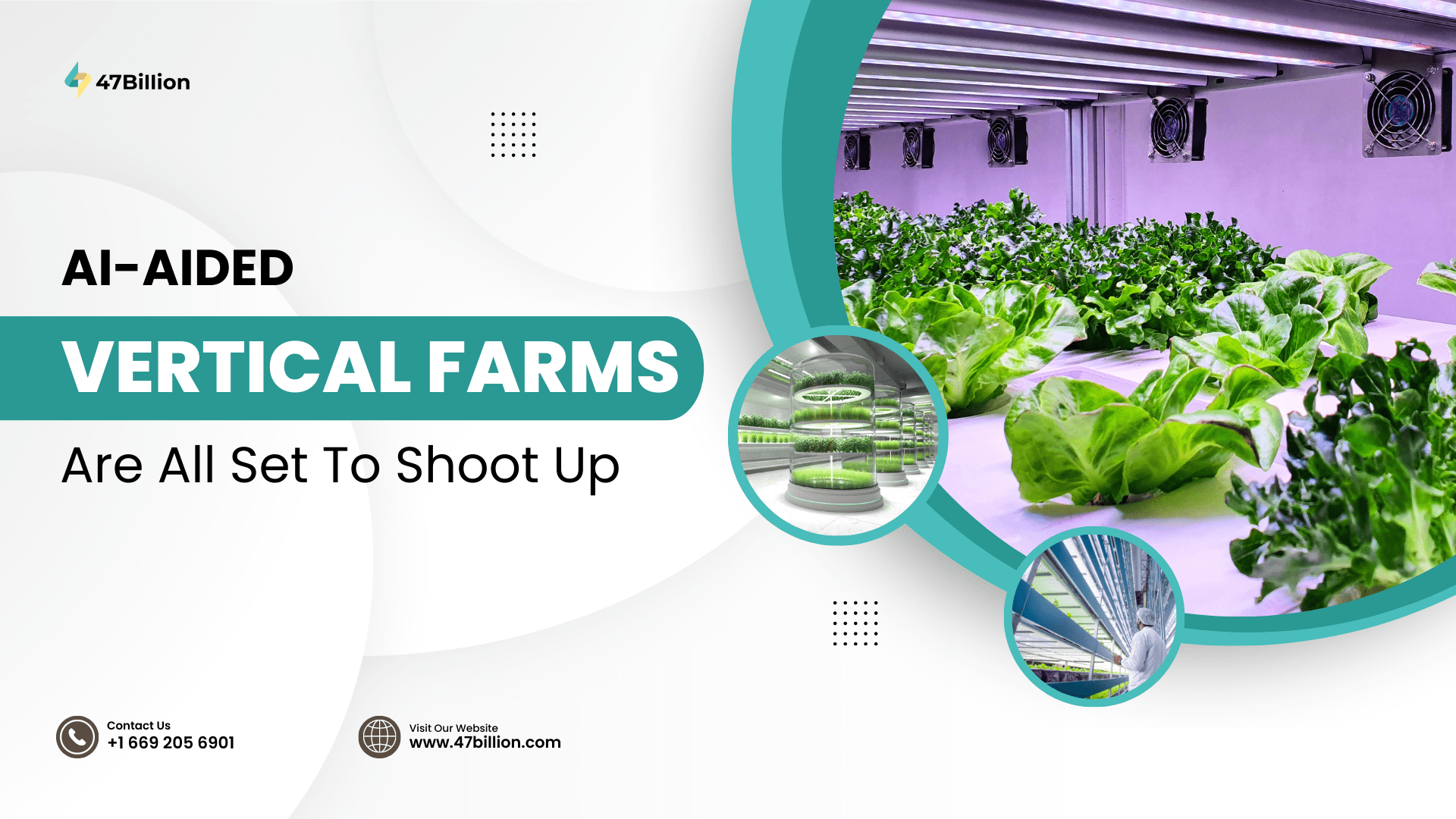 AI-aided-Vertical-Farms-Are-All-Set-To-Shoot-Up