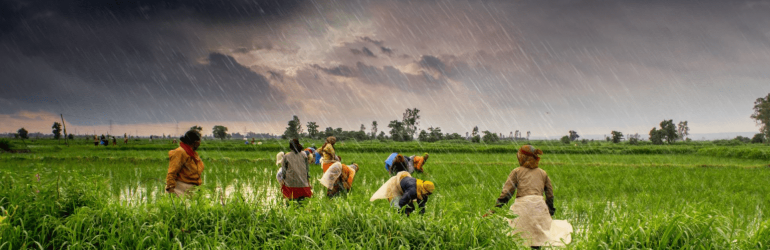 Highly sustainable scalable tech ecosystem for farmers in India casestudy