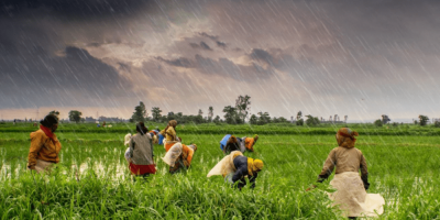 Highly sustainable & scalable tech ecosystem for farmers in India 