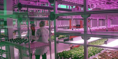 Indoor Farms Driven By IoT and Data
